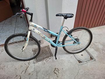 bicicletta montaine bike 