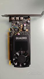 schede video NVIDIA P400