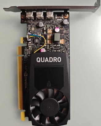 schede video NVIDIA P400