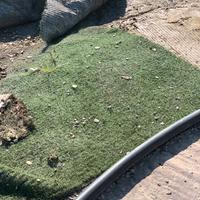 Tappeto erba sintetica