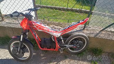 Mini trial beta e16 elettrico