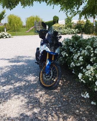 Suzuki V- Strom 800 DE -  Unico Proprietario