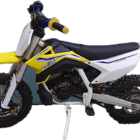 LEM minimoto da cross