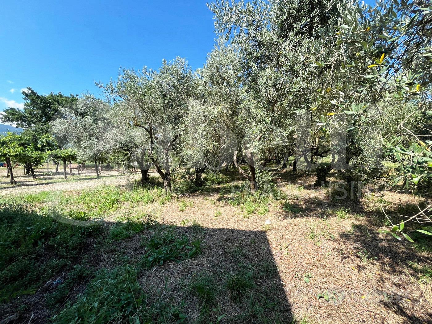 Rustico/Casale/Corte Gioia Sannitica - Altro