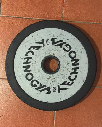 dischi palestra 20kg technogym