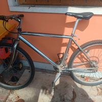 bici mountain-bike 