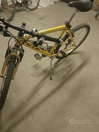 Mountain bike