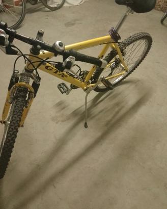 Mountain bike