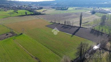 TER. AGRICOLO A CAVRIANA