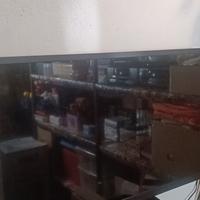tv hd
