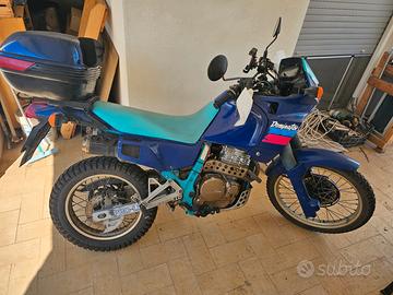 dominator 650 del 1991