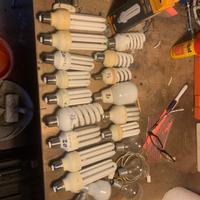 50 Lampadine un faretto e 2 neon