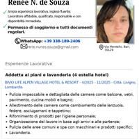 Pulizia, lavapiatti, Nanny (Inglese)