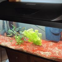 Acquario Tetra Starter Line LED 105