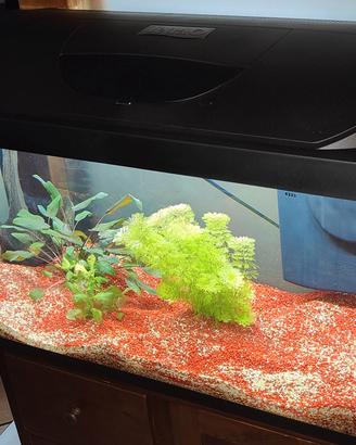 Acquario Tetra Starter Line LED 105