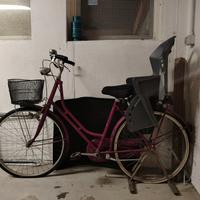 Bicicletta donna 