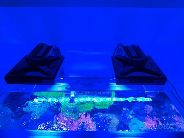 Radion xr 15 pro gen 4