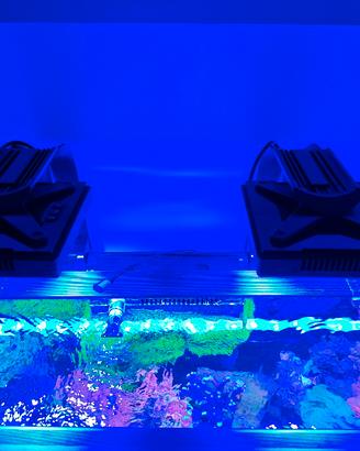 Radion xr 15 pro gen 4