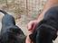 Immagine 3