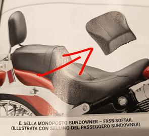 sellino passeggero Harley Davidson 