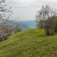 TERRENO agricolo prato/bosco per hobby 5150mq