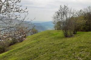 TERRENO agricolo prato/bosco per hobby 5150mq