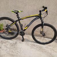 Bicicletta Mountain bike