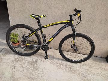 Bicicletta Mountain bike