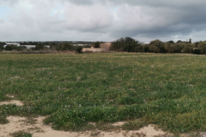 Terreno pozzo sampieri