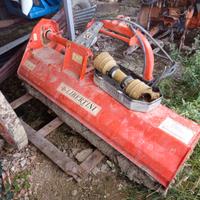 Trincia libertini 160