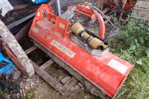 Trincia libertini 160