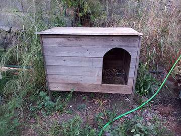 casa riparo per galline