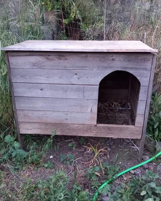 casa riparo per galline