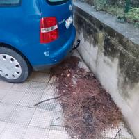 Ve Touran con gancio traino 5 pt