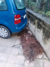 Ve Touran con gancio traino 5 pt