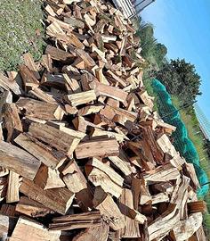 legna ben secca pronta per ardere