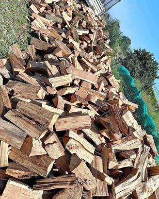 legna ben secca pronta per ardere