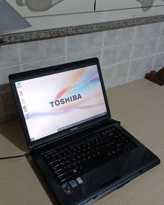 Notebook Toshiba con Windows 10 e SSD