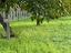 Immagine 27