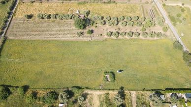 Terreno con casale RIBASSO PREZZO
