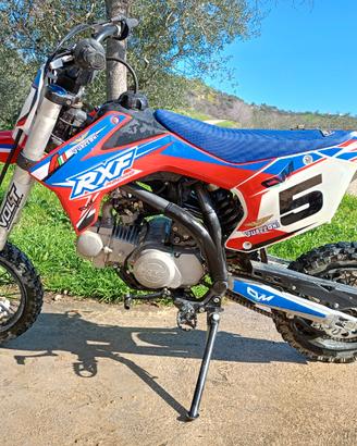 Pit bike 125cc RXF (guazzoni)