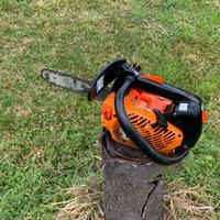 Motosega da potatura Echo