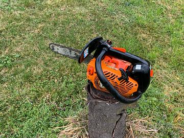 Motosega da potatura Echo