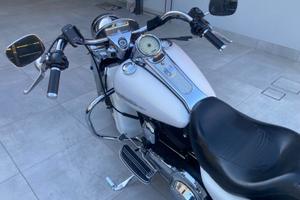 Harley Davidson custom 1584