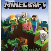 Nintendo Minecraft : Switch Edition
