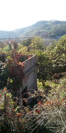 Casa singola con giardino Camaro Sup