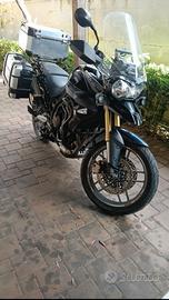 Triumph Tiger 800 cc anno 2011