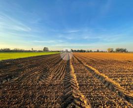 TER. AGRICOLO A MAGENTA