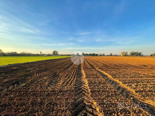 TER. AGRICOLO A MAGENTA