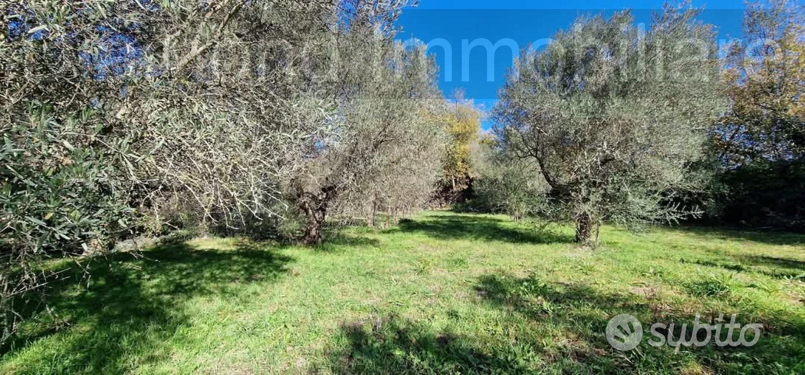 Terreno con rustico a Castiglione di Sicilia - Altro